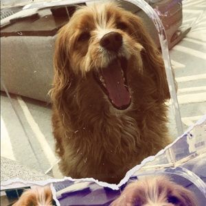 Meet your Posher, Mattia